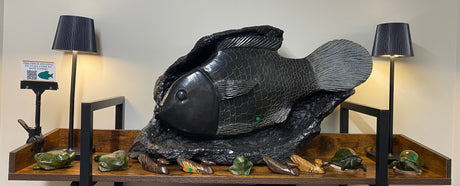 This Fish Is Stunning We've all come to have a look!
