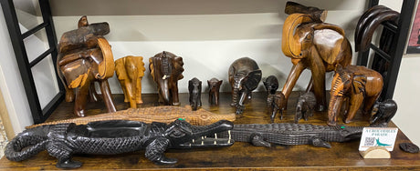 A Crocodiles Parade
