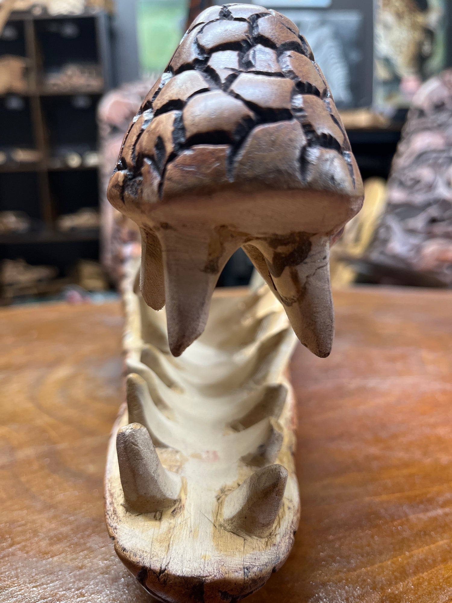 Stunning Lifelike Crocodile Head Wooden Curio
