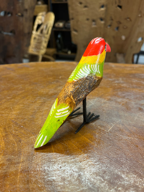 Brightly Painted African Bird