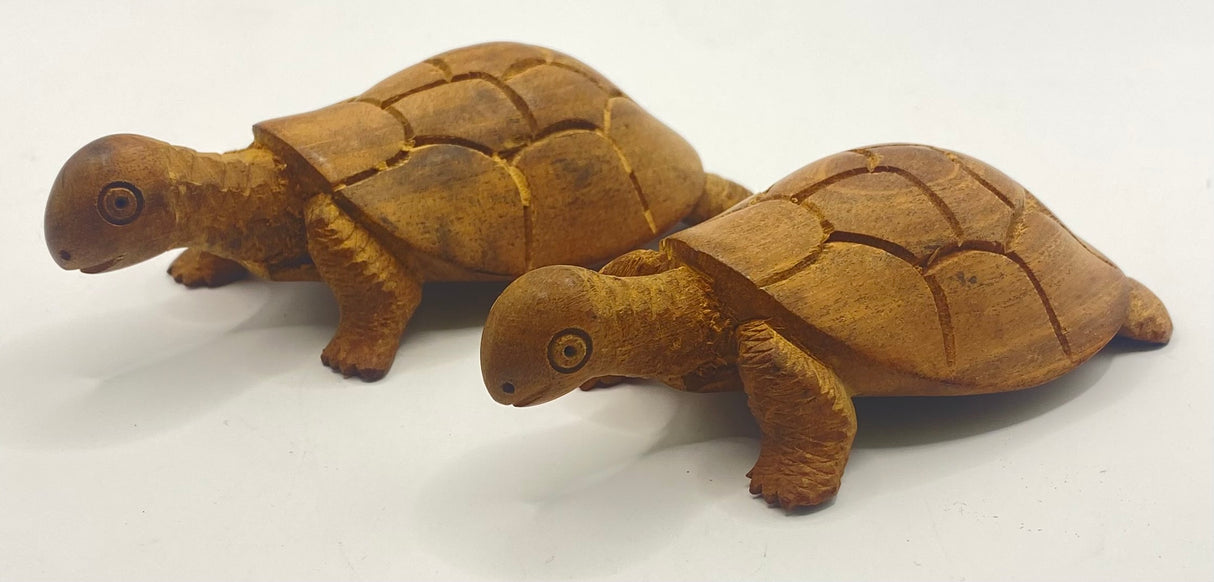Wooden Turtle Bottle Opener