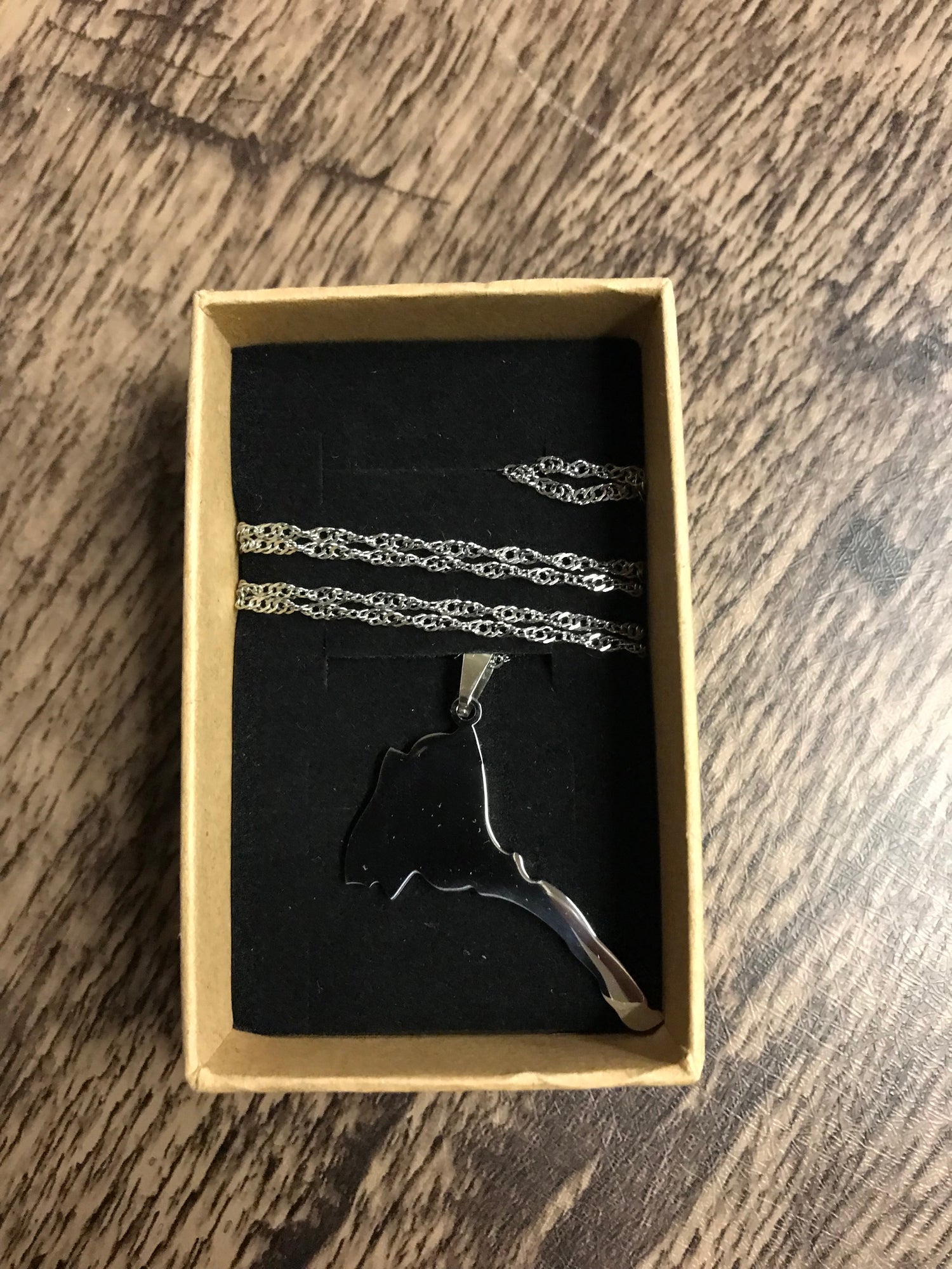 Country Shape Filled Outline Silver Necklace 60cm Chain