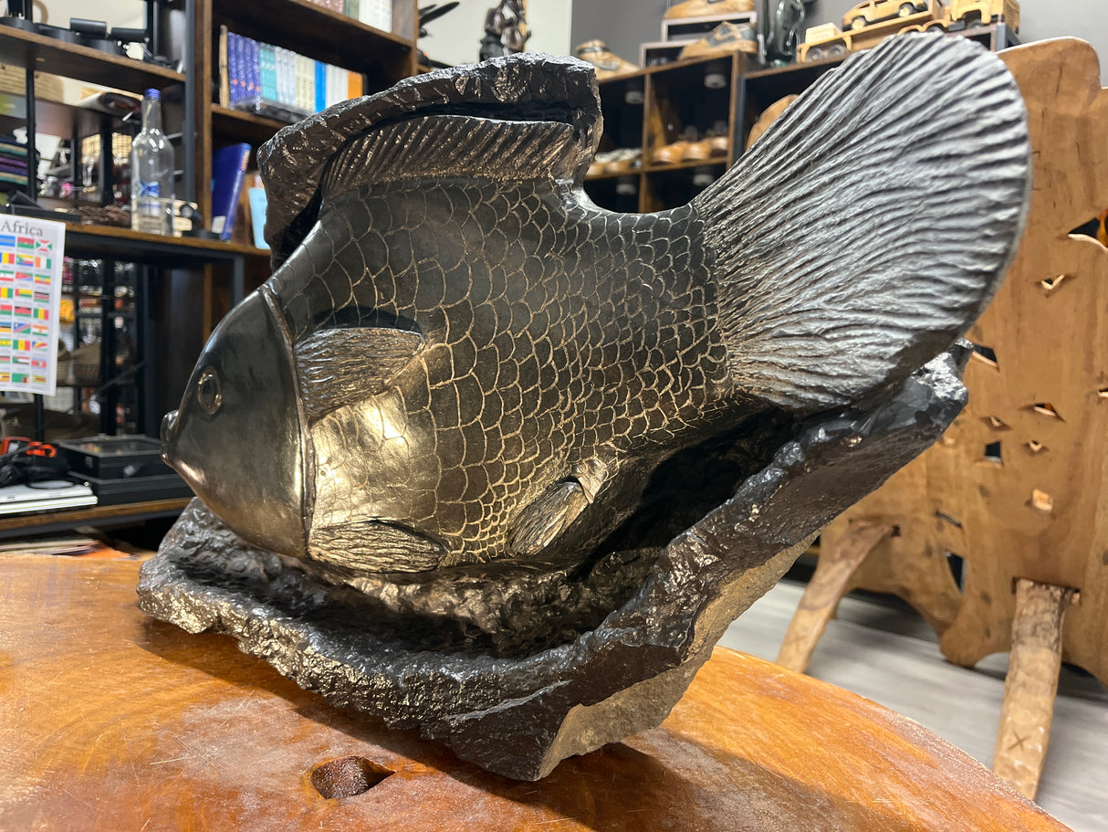 Stone Chambo Fish In Black Rock