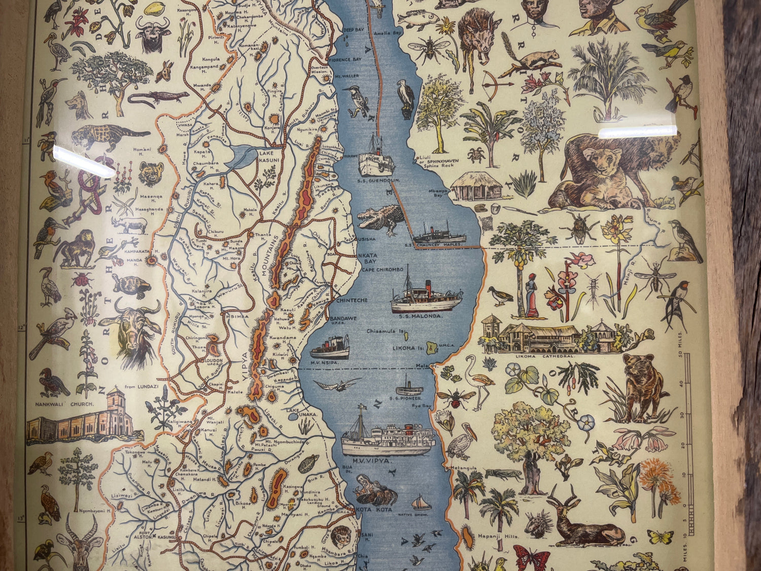 Detailed Map Drawing of Malawi framed on reclaimed Canoe Wood from Lake Malawi