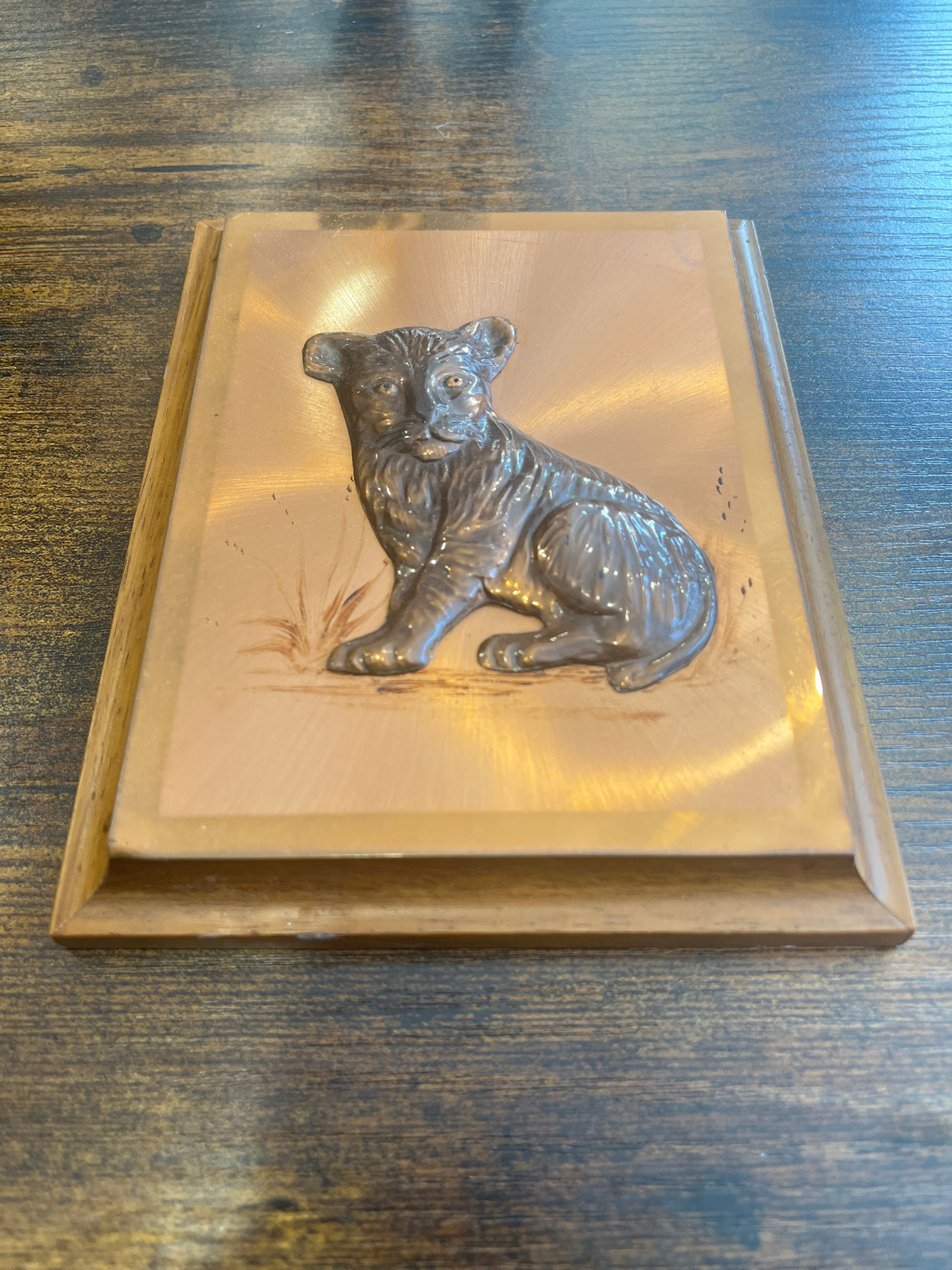 3D Copper Lion Cub Picture - South Africa