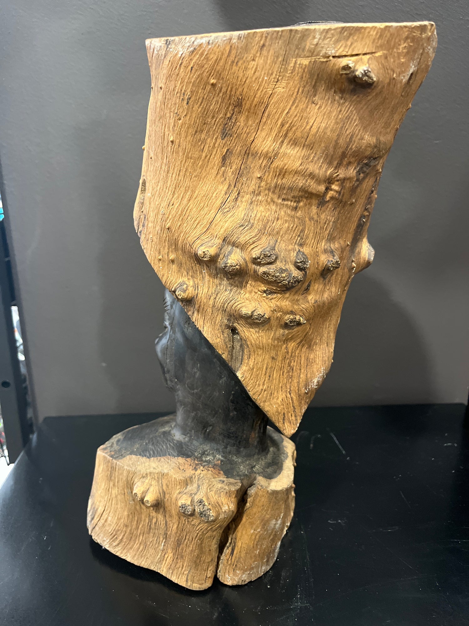 Beautiful Ebony Intricate African Head Carved into One Tree Trunk