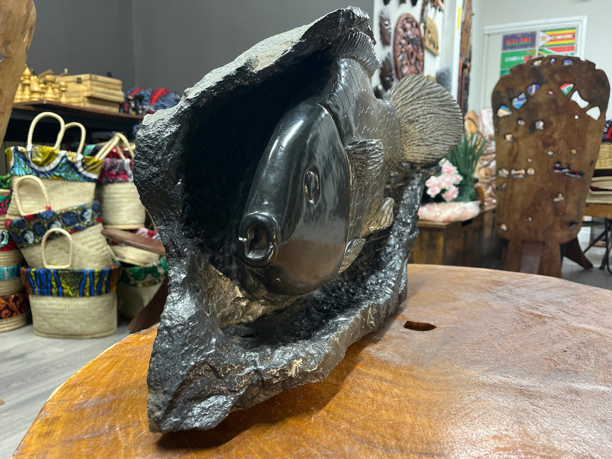 Stone Chambo Fish In Black Rock