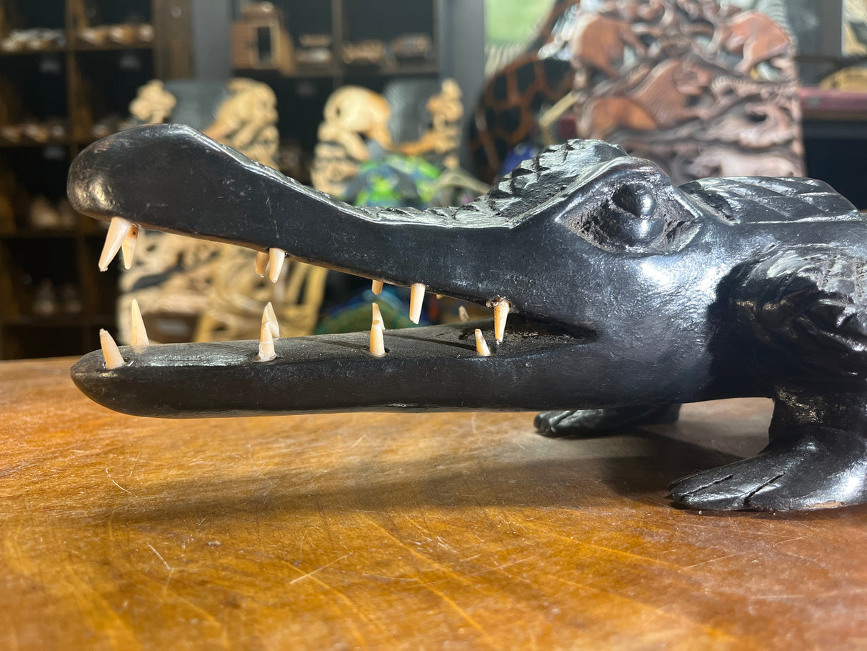 Hand Carved Stunning Ebony Crocodile With Coin / Jewellery Dish