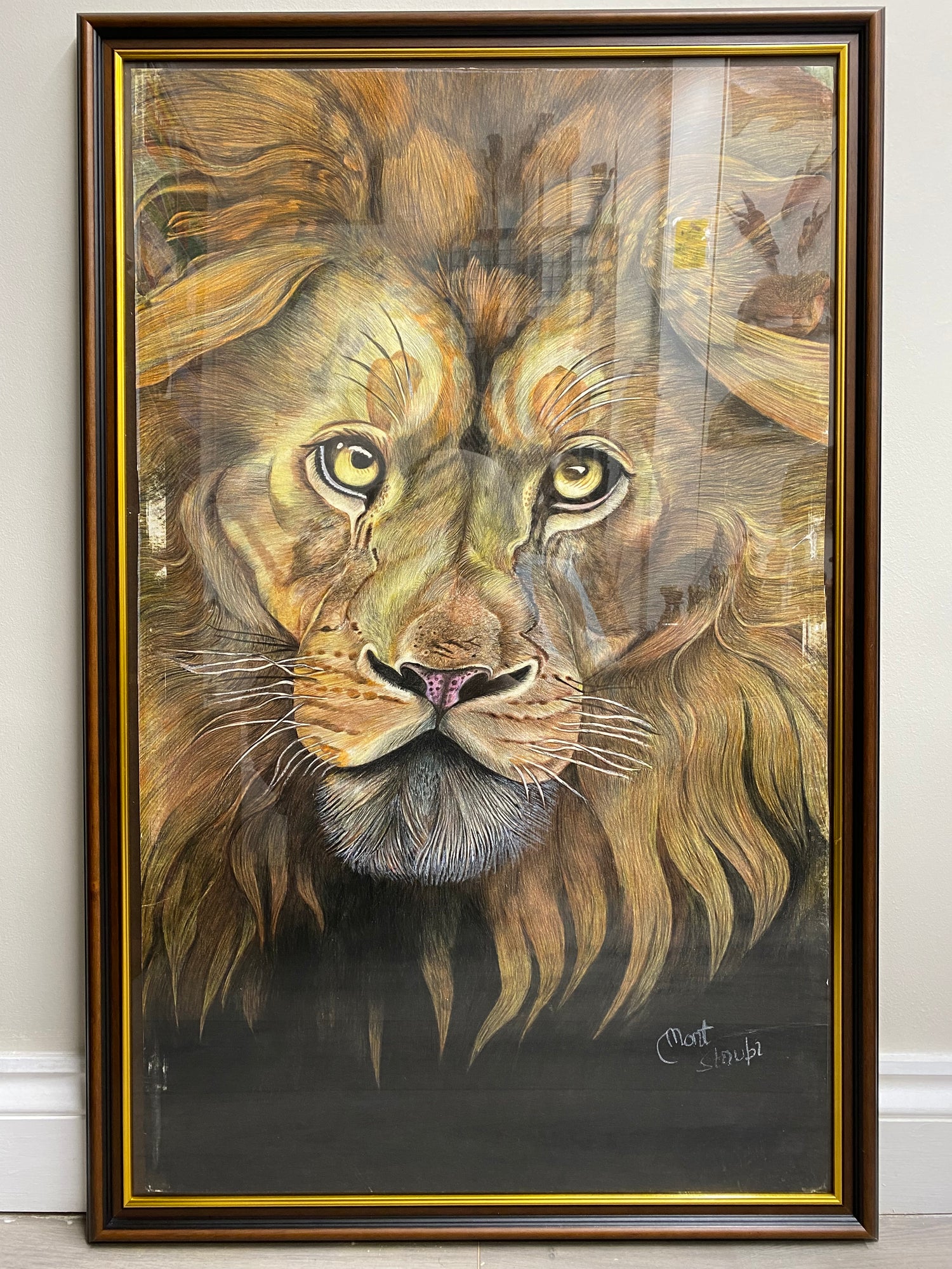Curious and Serene Lion Face In Colour Pencil - Framed