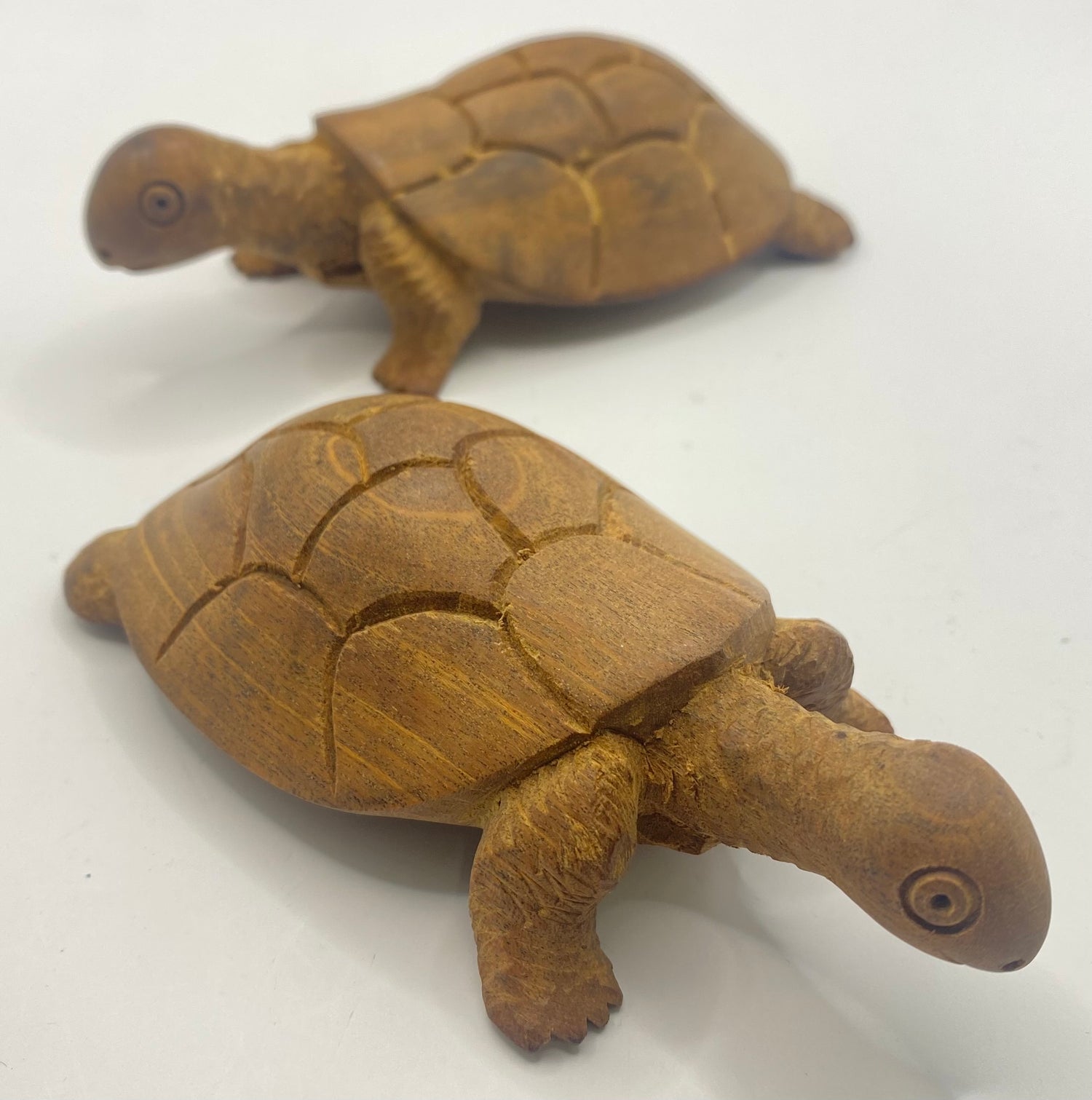 Wooden Turtle Bottle Opener