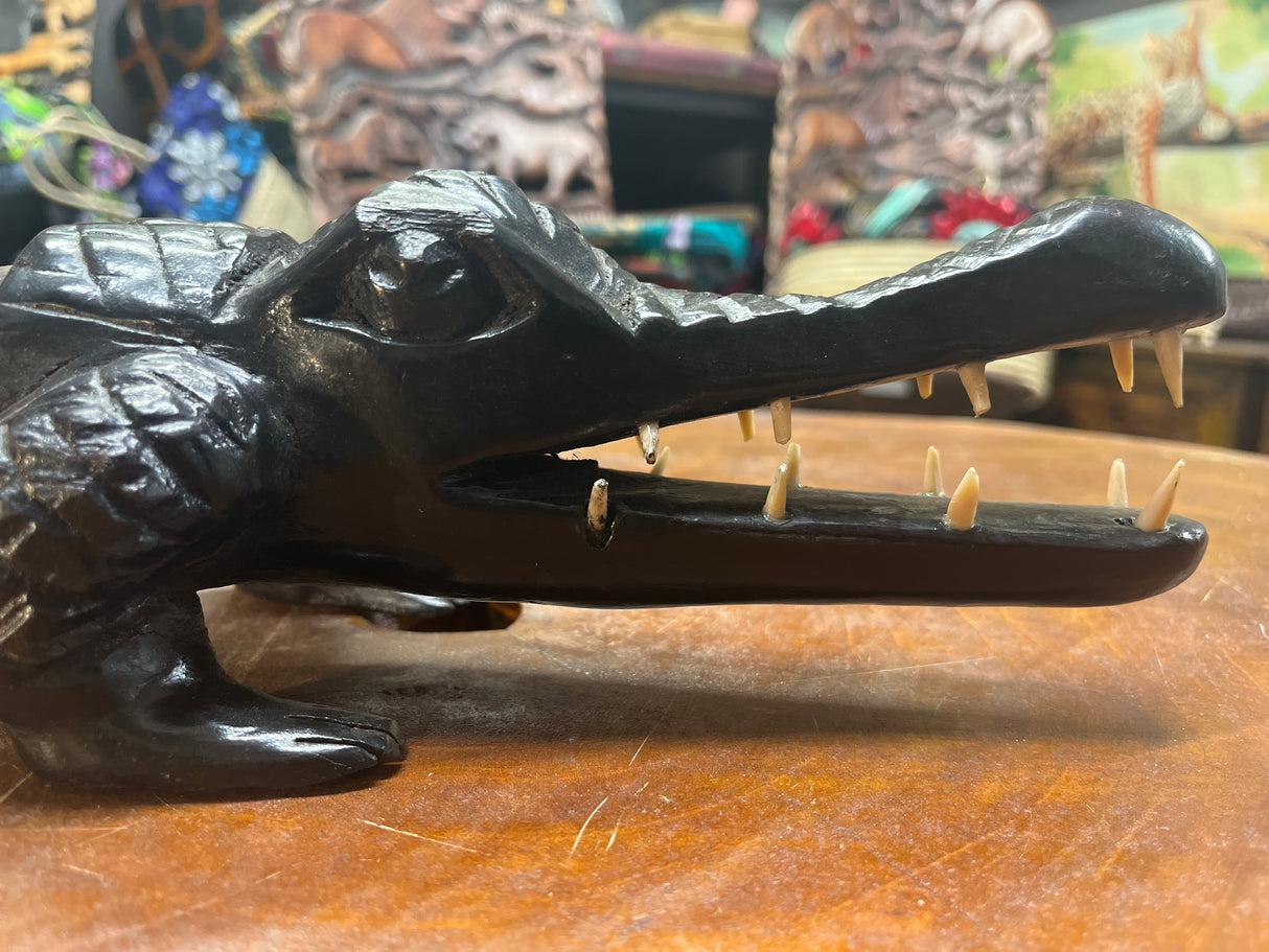 Hand Carved Stunning Ebony Crocodile With Coin / Jewellery Dish