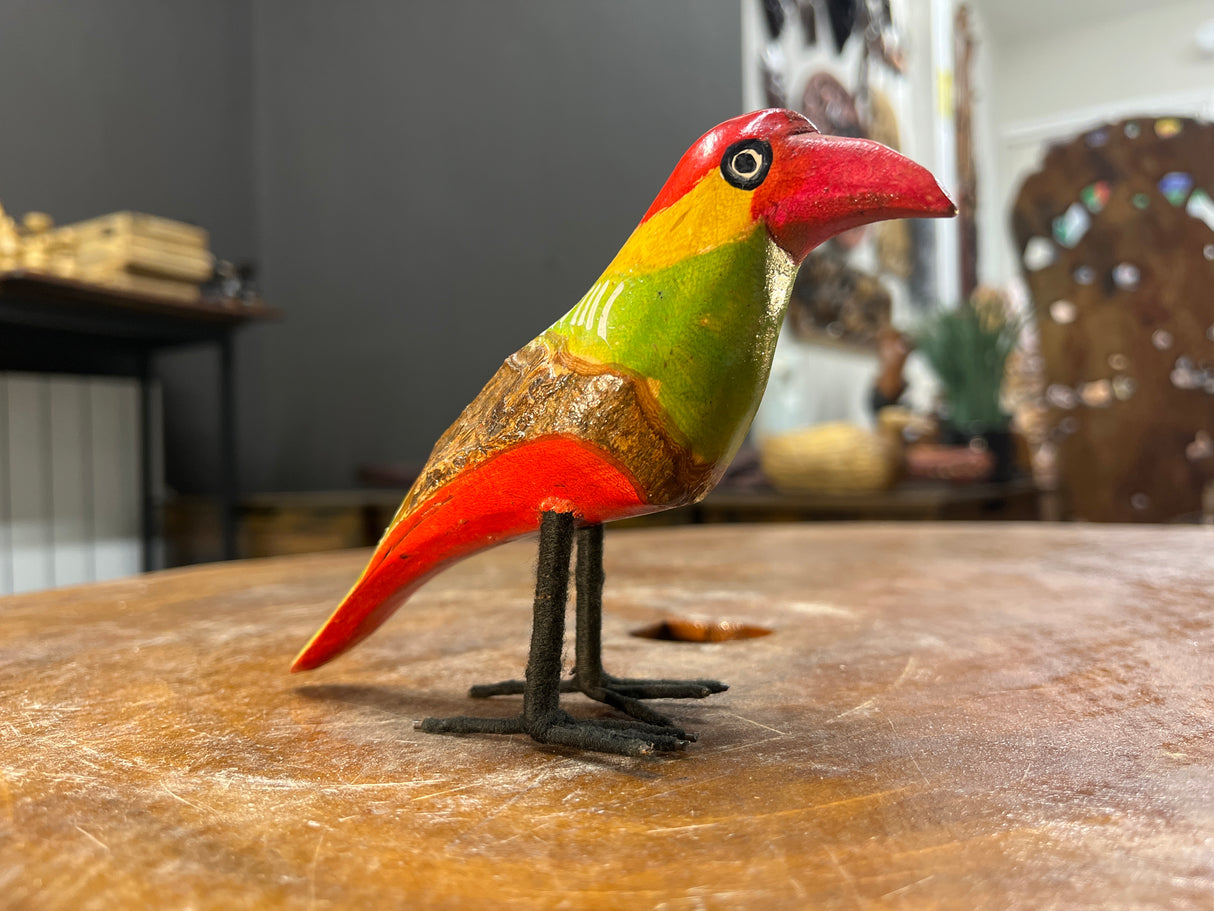 Brightly Painted African Bird