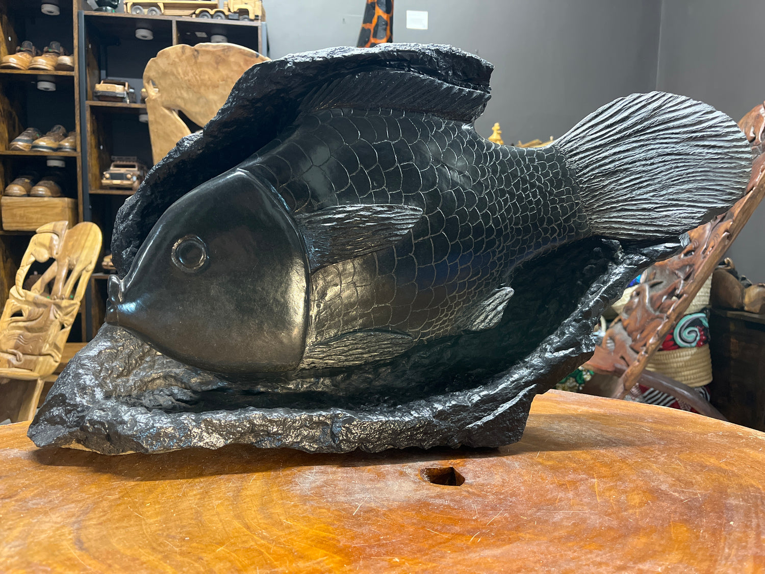 Stone Chambo Fish In Black Rock