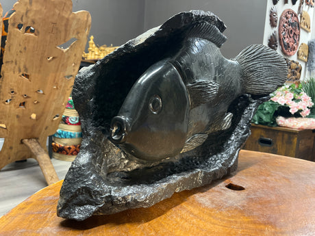 Stone Chambo Fish In Black Rock