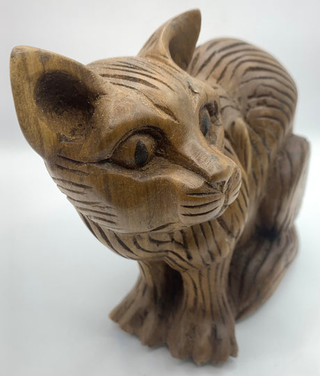 Head Side Turned Cats
