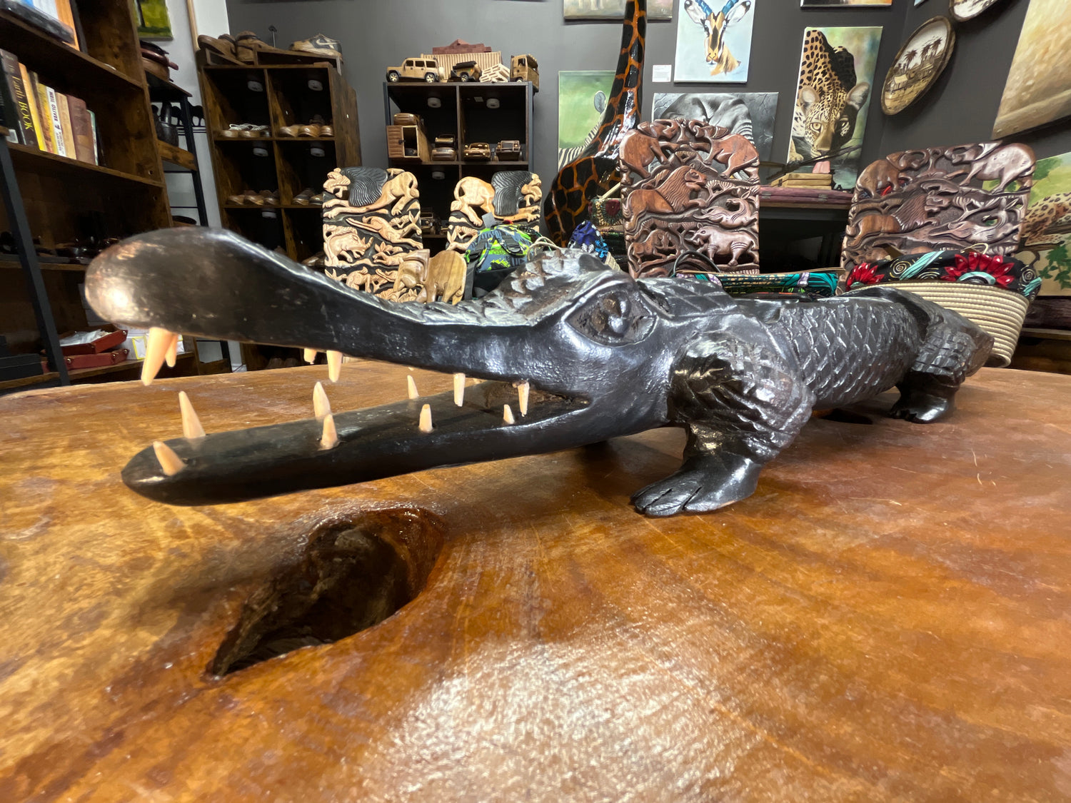 Hand Carved Stunning Ebony Crocodile With Coin / Jewellery Dish