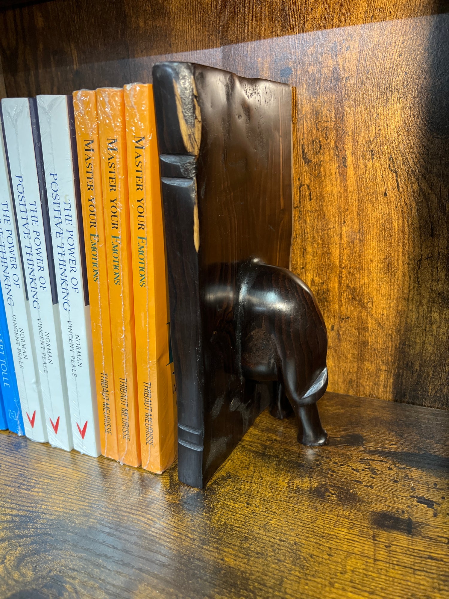 Beautifully Grained Ebony Elephant Book End