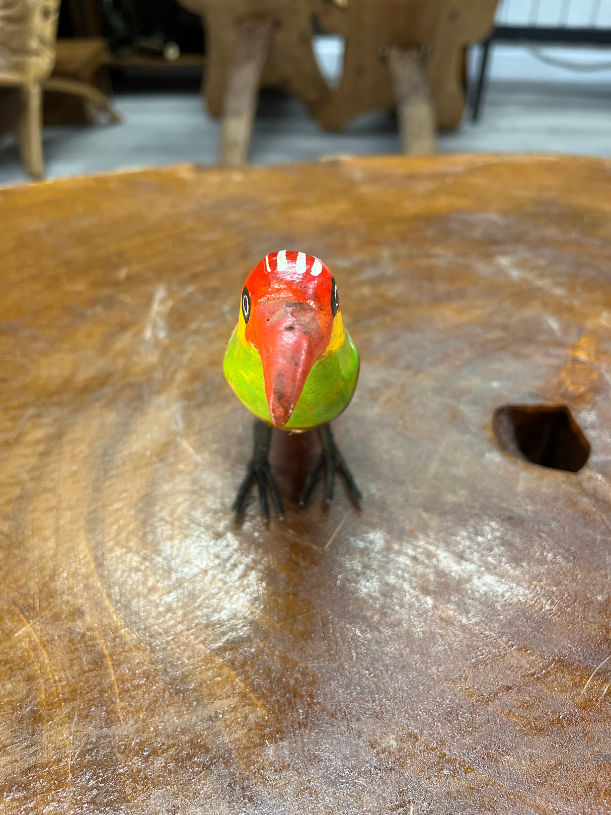Brightly Painted African Bird