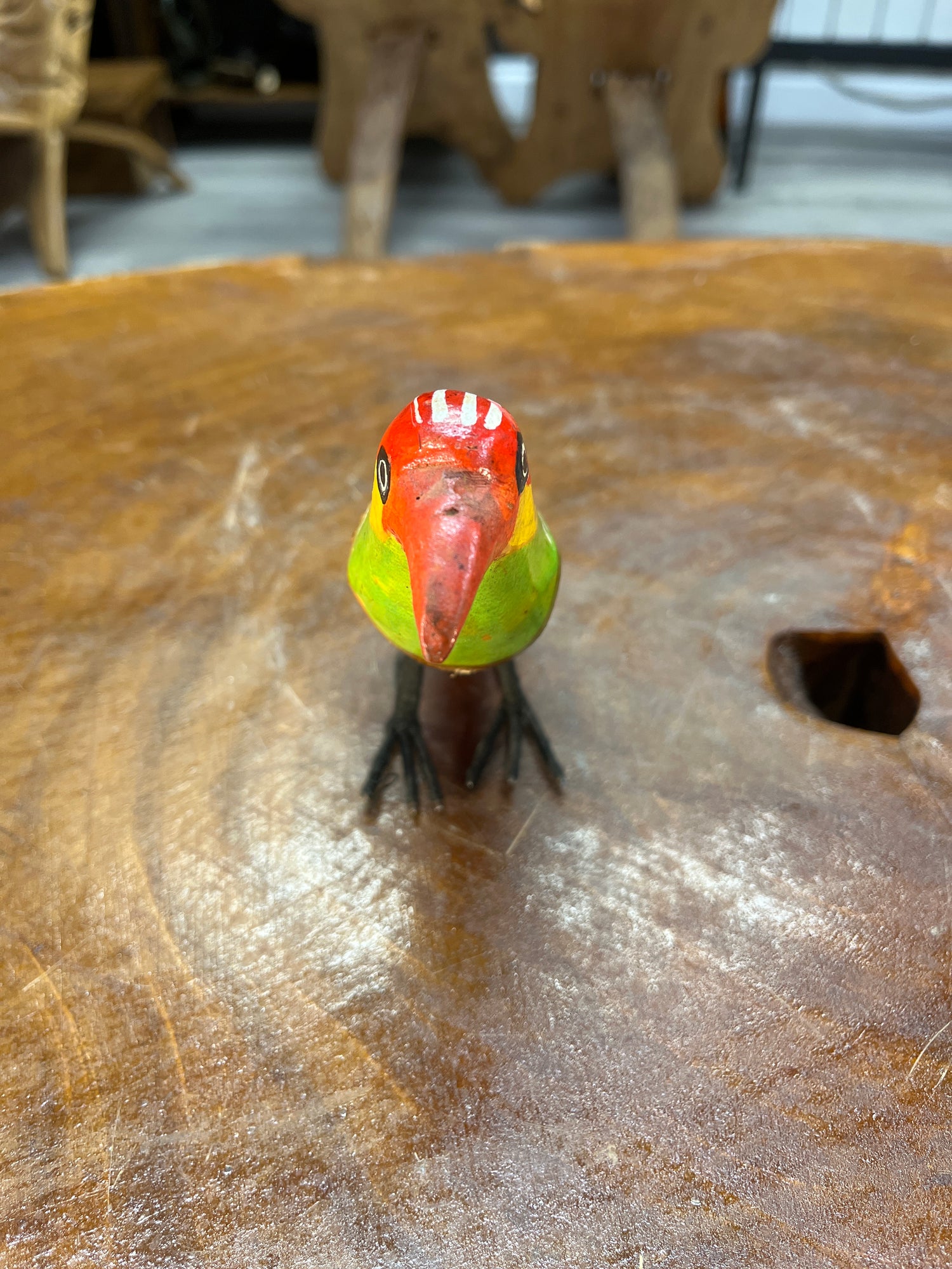 Brightly Painted African Bird