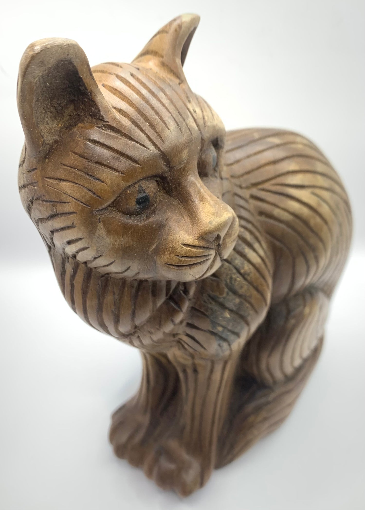 Head Side Turned Cats