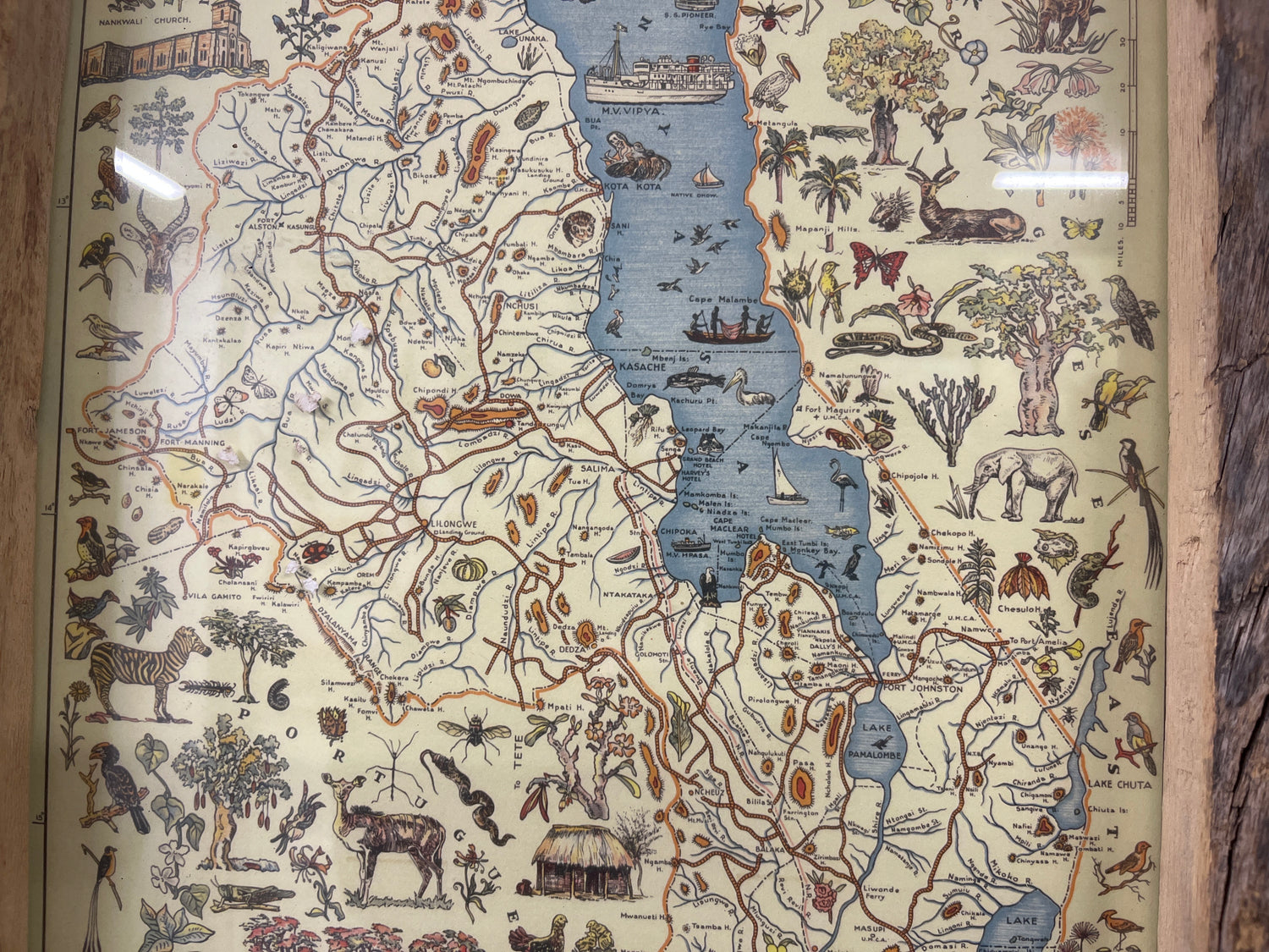 Detailed Map Drawing of Malawi framed on reclaimed Canoe Wood from Lake Malawi