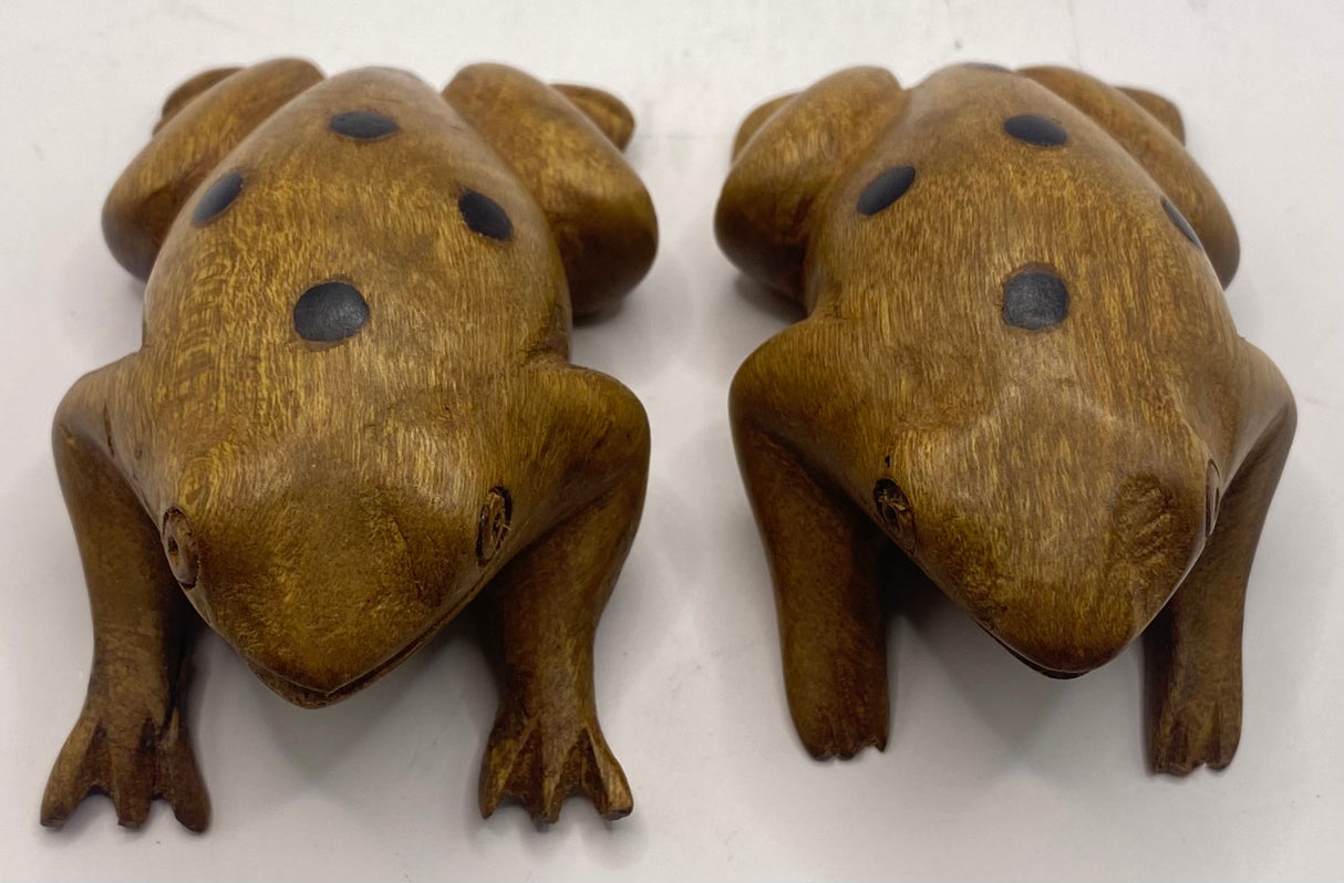 Spotted Mahogany Frog
