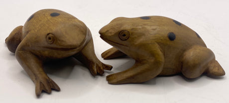 Spotted Mahogany Frog
