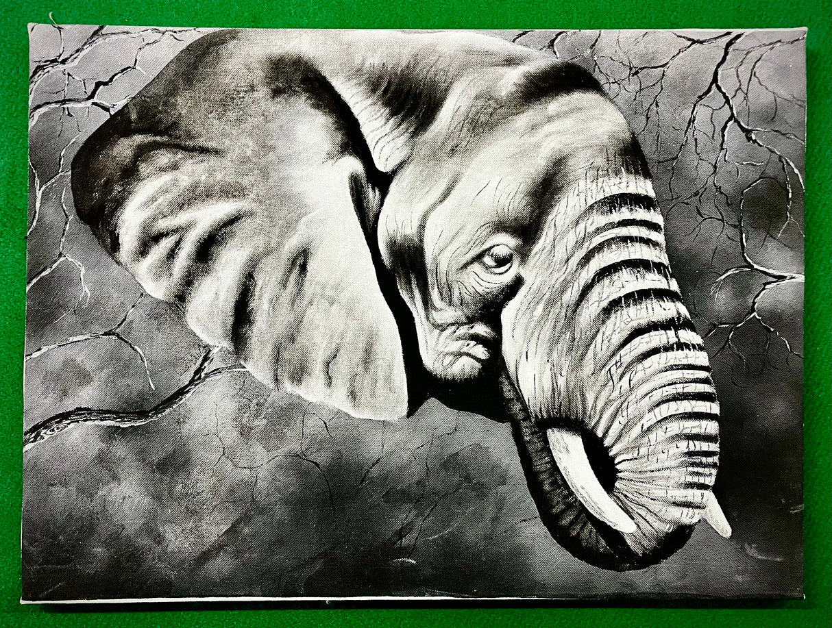 Acrylic Painting On Canvas - 'Old and Grey'