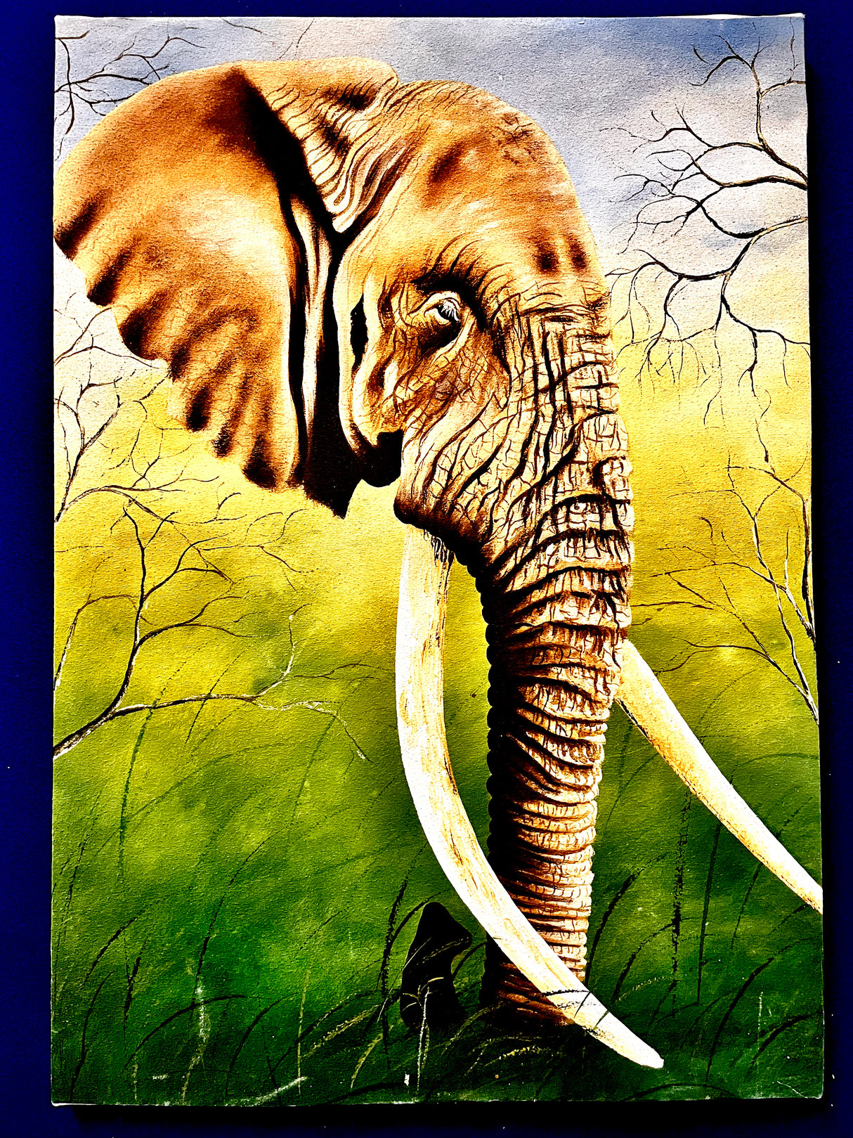 Acrylic Painting On Canvas - 'The Ageless Matriarch'