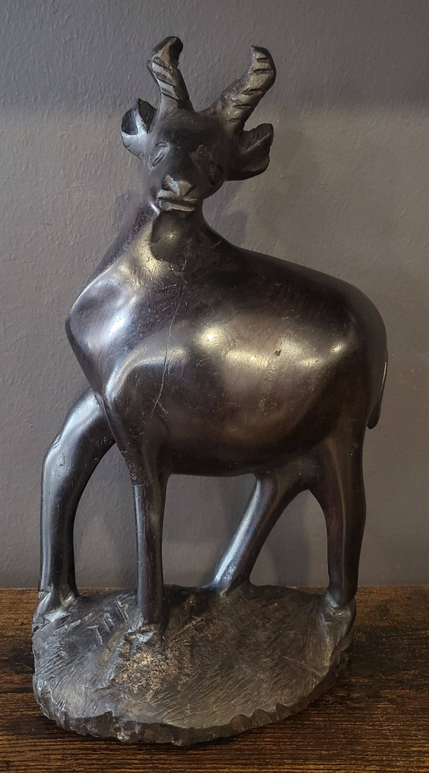 Ebony Deer Standing on a Rock