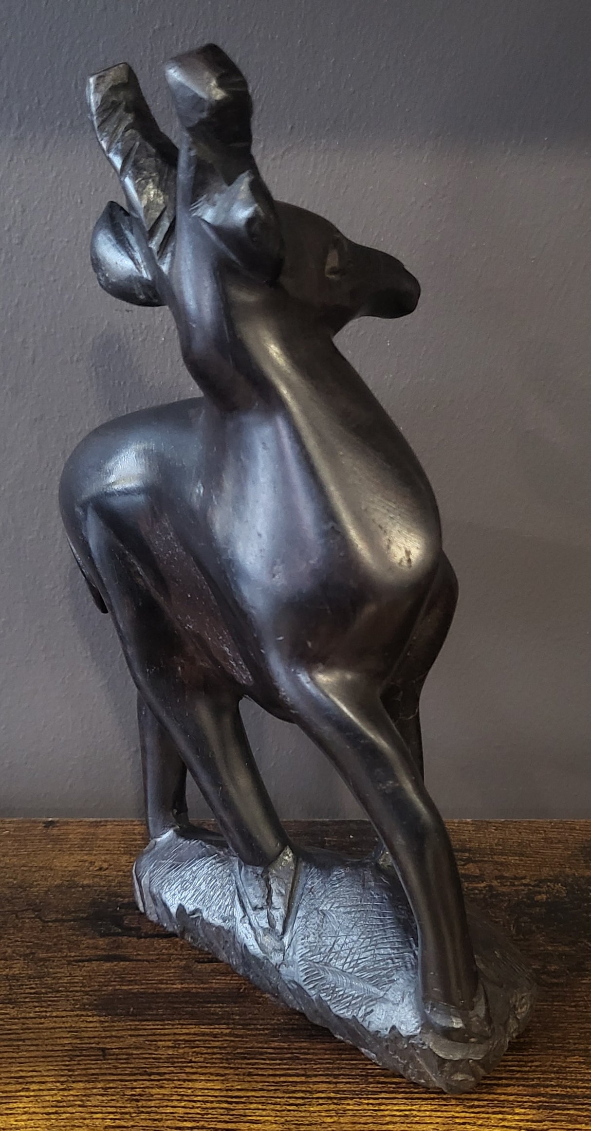 Ebony Deer Standing on a Rock