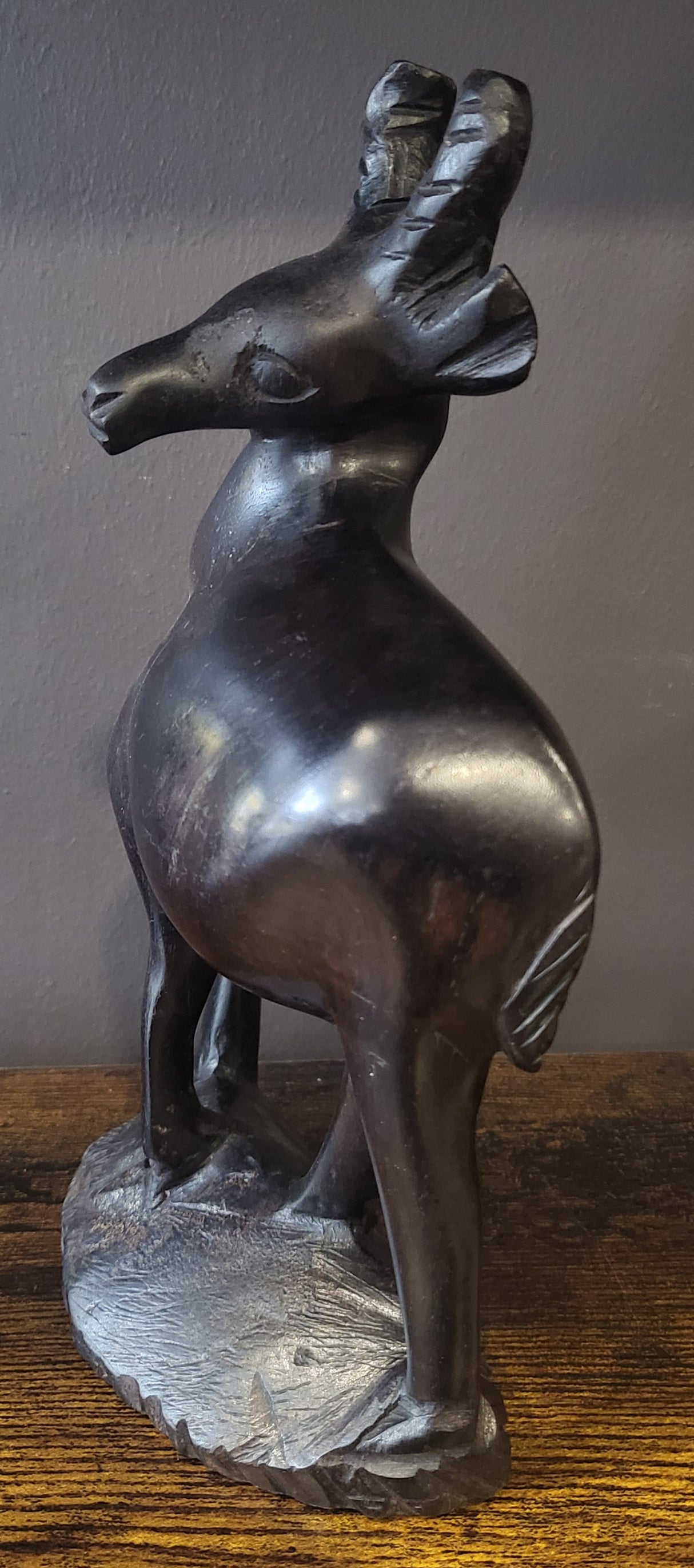 Ebony Deer Standing on a Rock