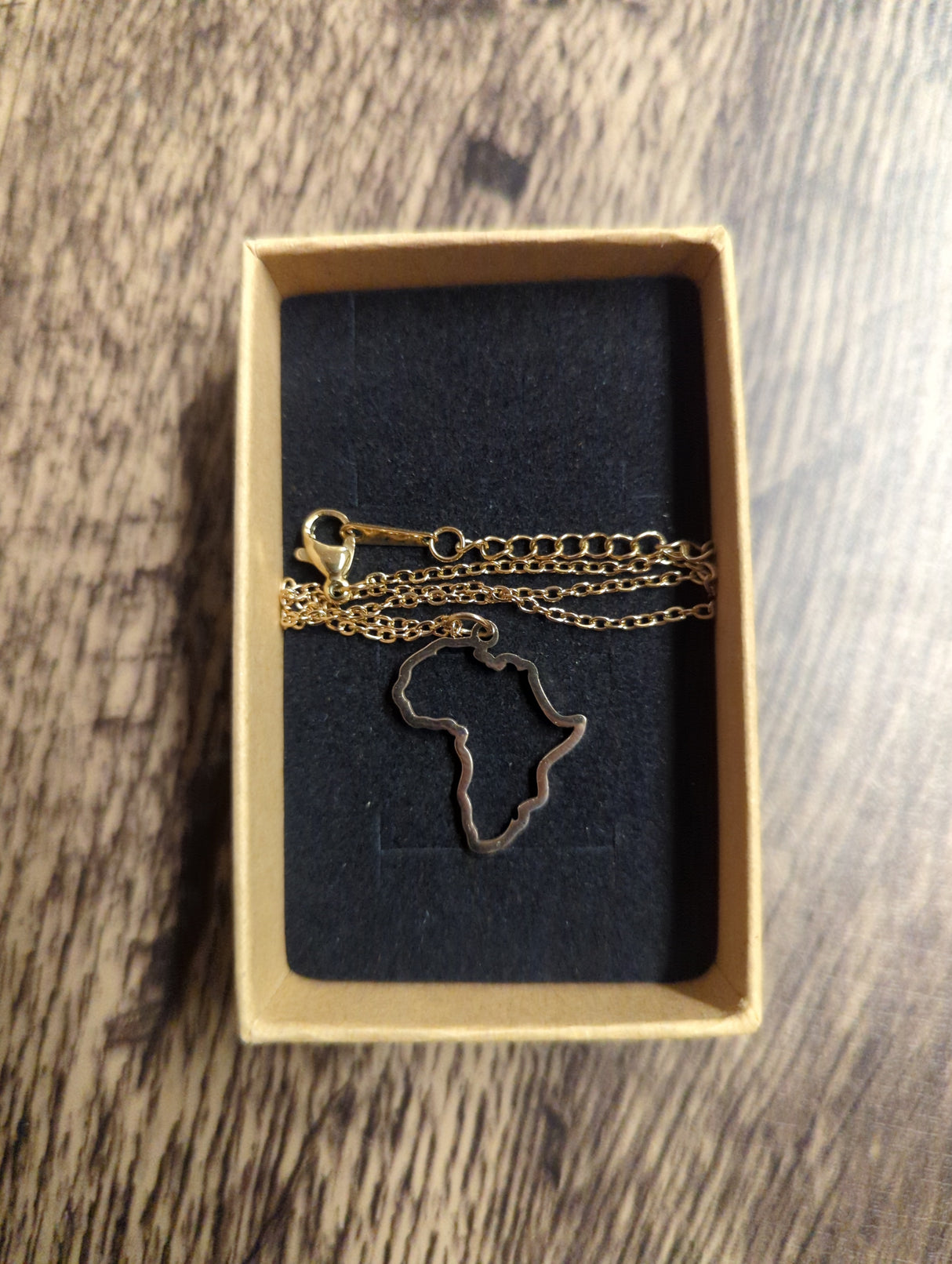 Africa Shape Outline Necklace 50cm Chain 23.5mm x 19mm Pendant