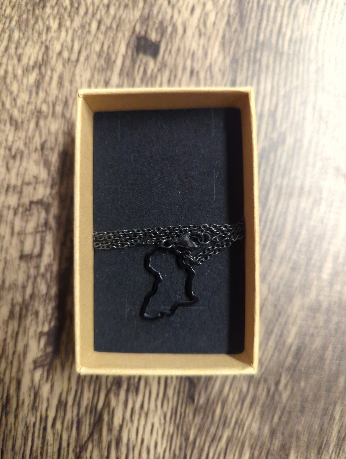 Africa Shape Outline Necklace 50cm Chain 23.5mm x 19mm Pendant