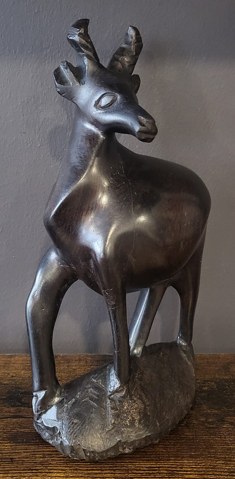 Ebony Deer Standing on a Rock