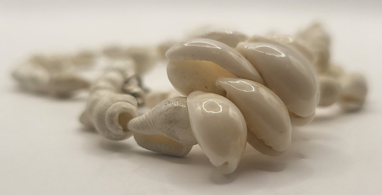 Thin Shell Cowrie Necklace