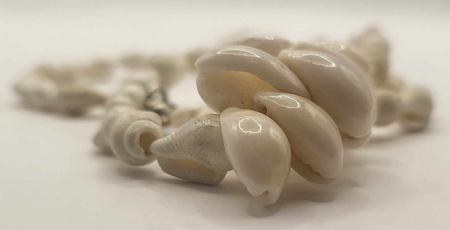 Thin Shell Cowrie Necklace