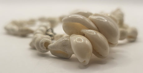Thin Shell Cowrie Necklace