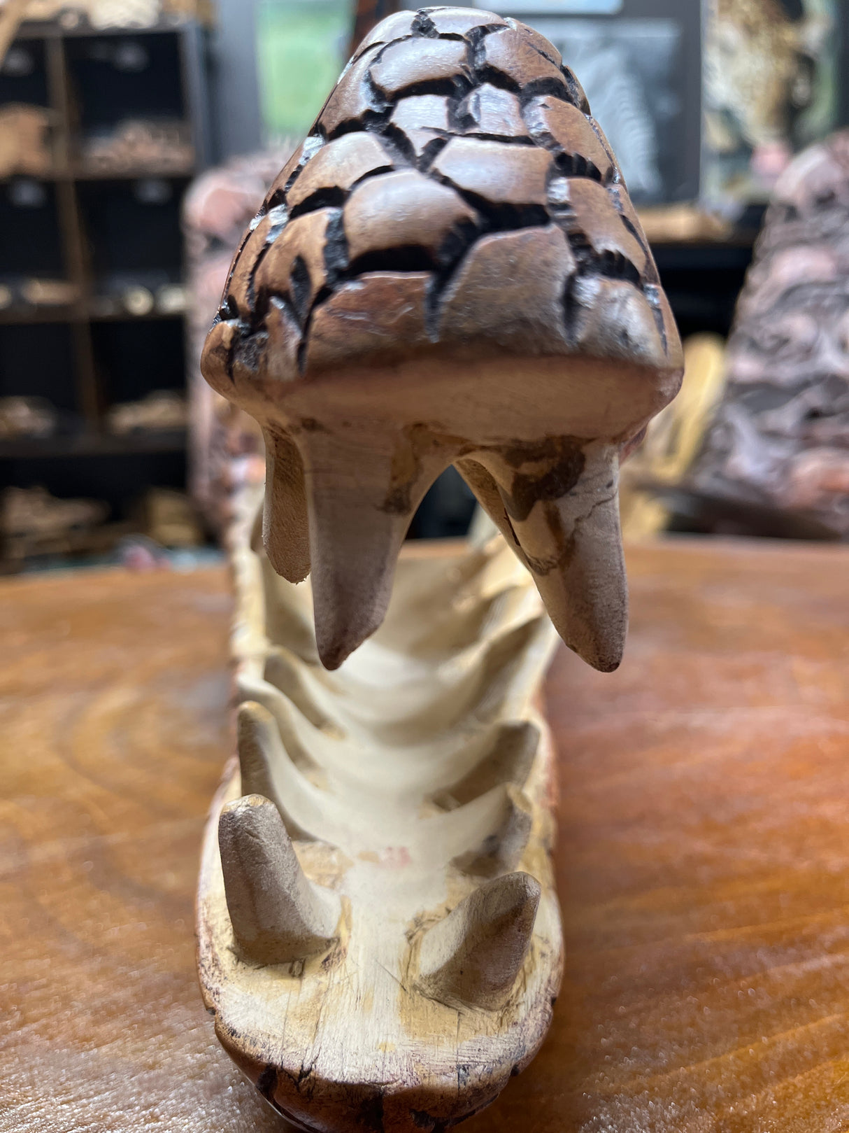 Stunning Lifelike Crocodile Head Wooden Curio