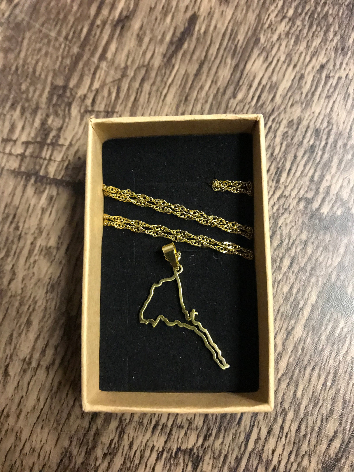 Country Shape Outline Gold Necklace 60cm Chain