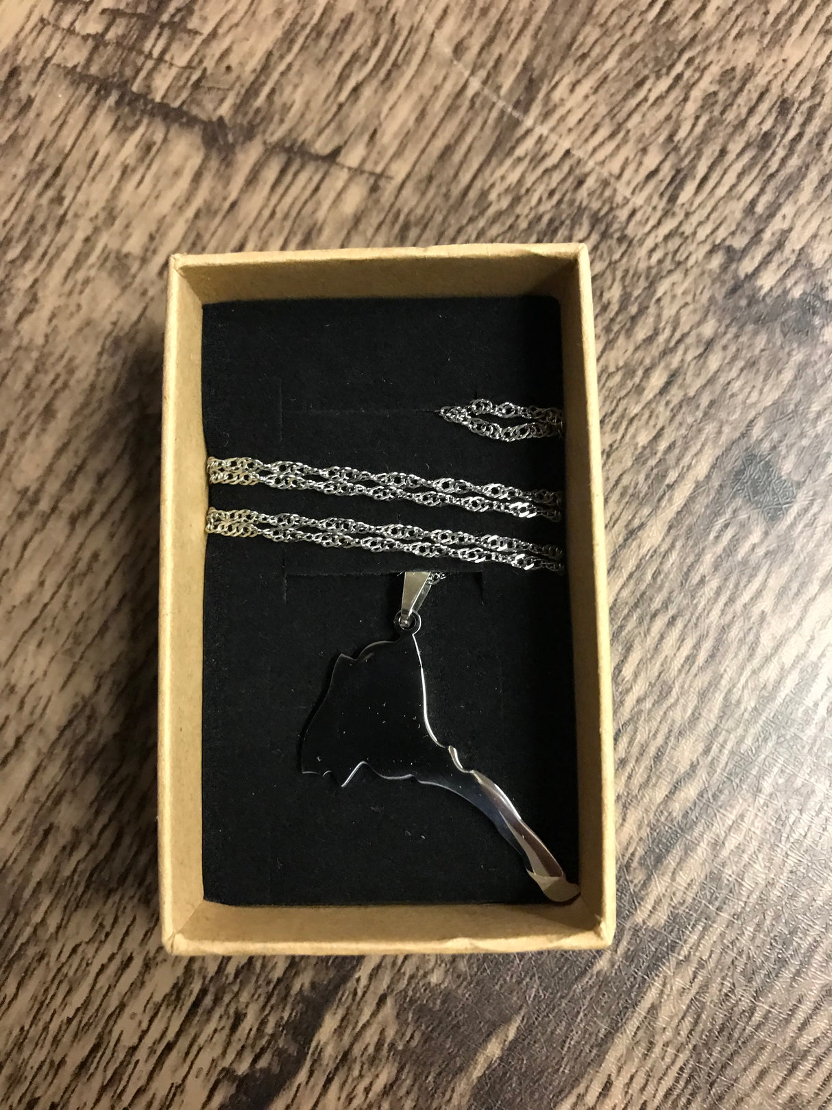Country Shape Filled Outline Silver Necklace 60cm Chain