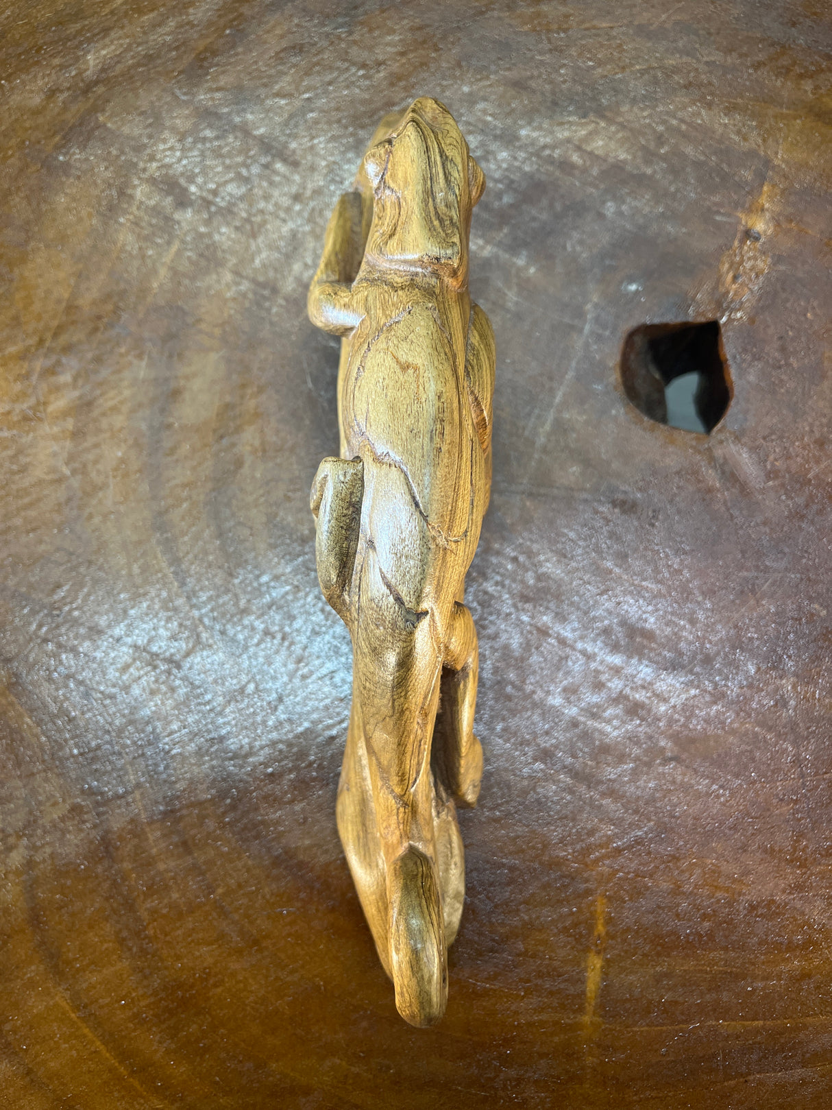 Hand Carved Lizard / Gecko on a Tree Branch