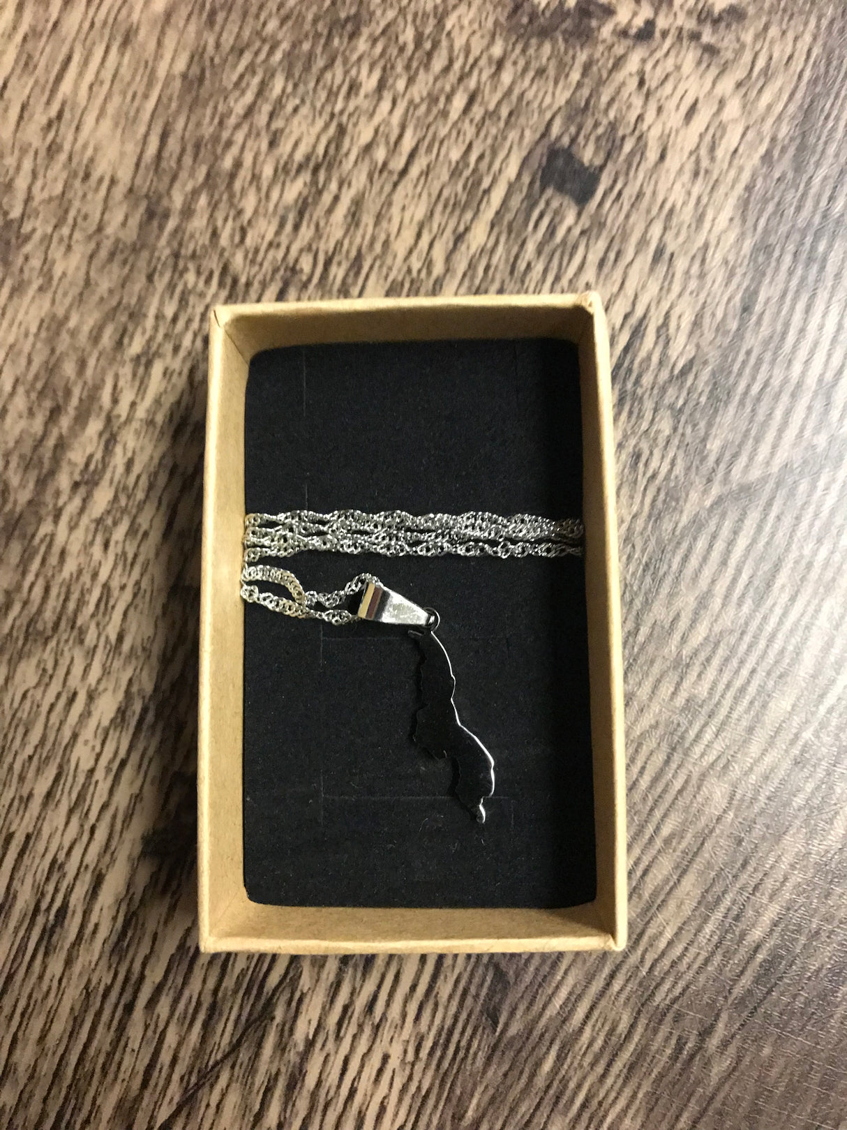 Country Shape Filled Outline Silver Necklace 60cm Chain