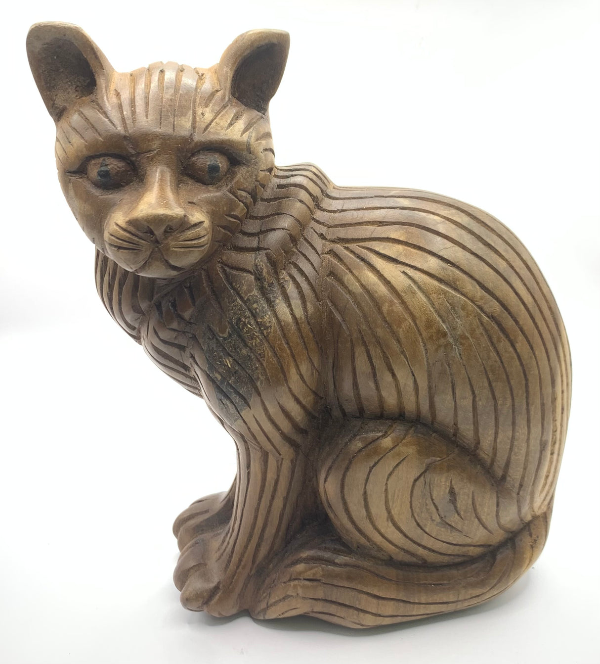 Head Side Turned Cats