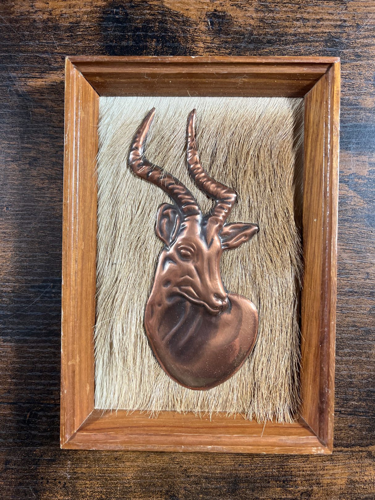 Gazelle In Copper with Fur