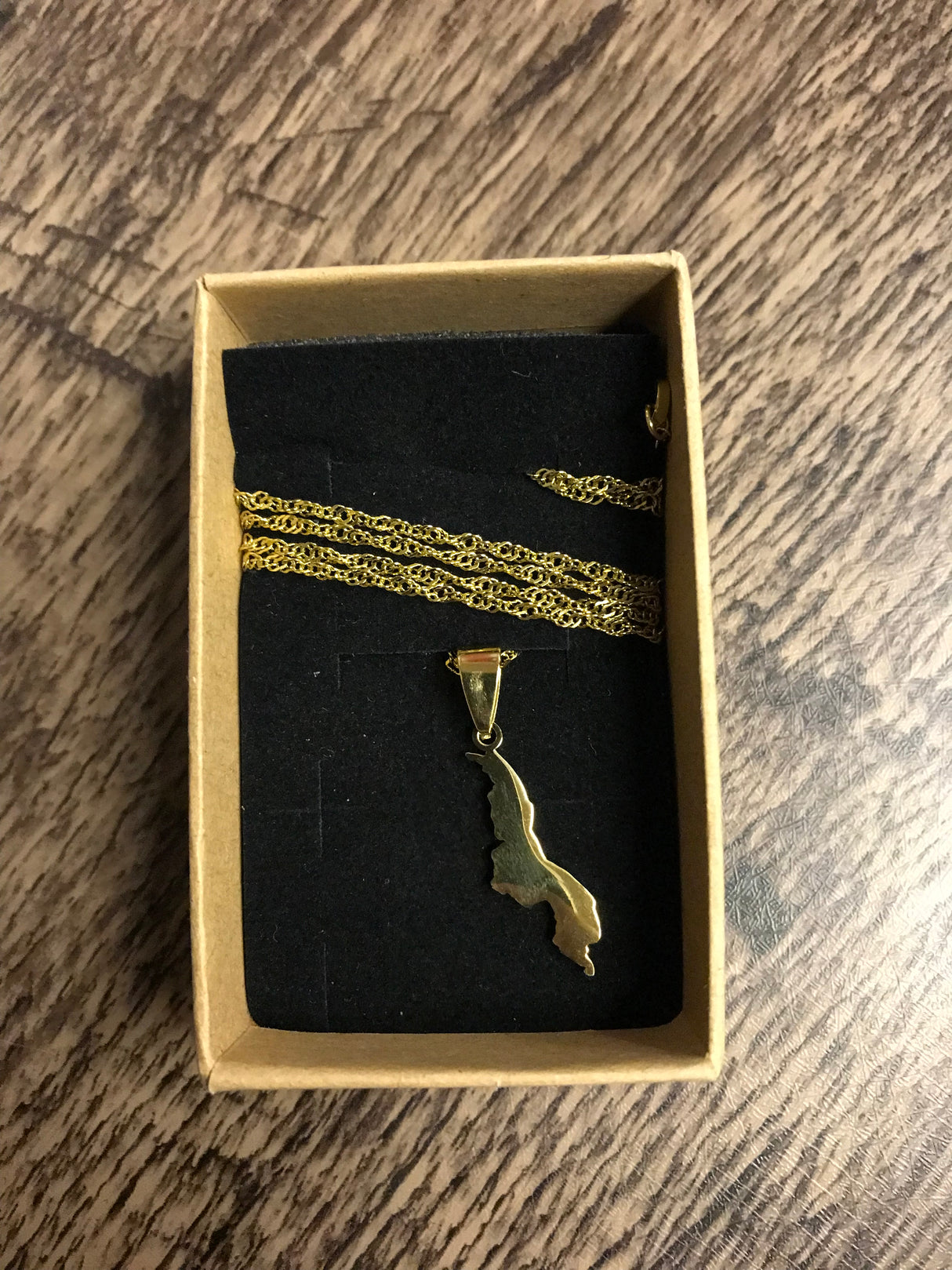 Country Shape Filled Outline Gold Necklace 60cm Chain