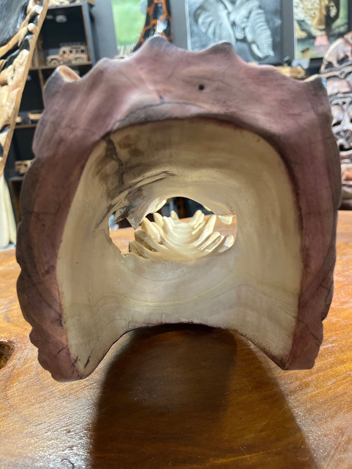 Stunning Lifelike Crocodile Head Wooden Curio