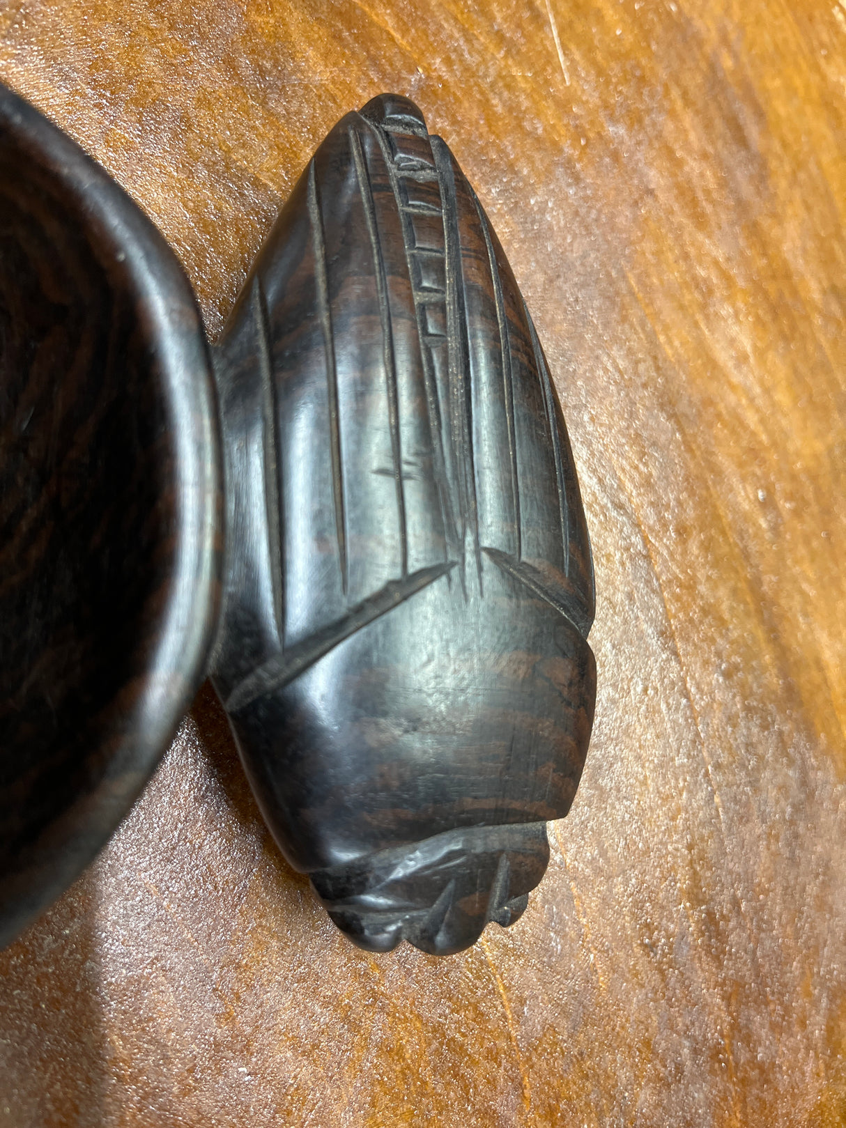 Handmade Ebony Cockroach Coin / Jewellery Dish