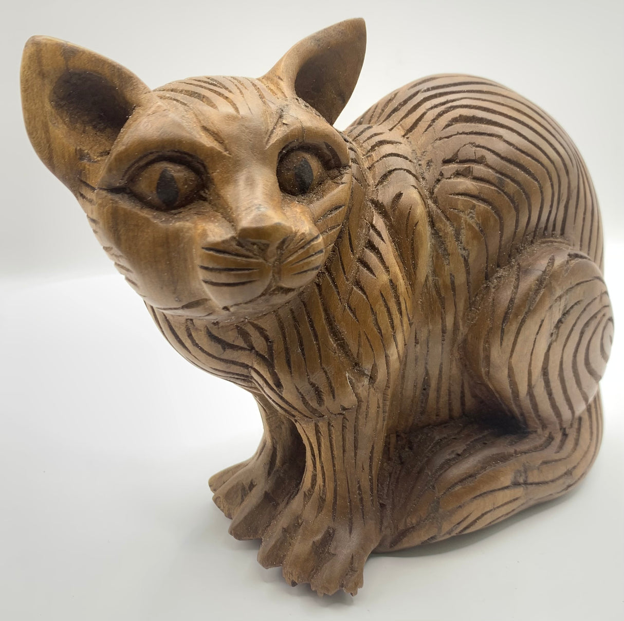 Head Side Turned Cats