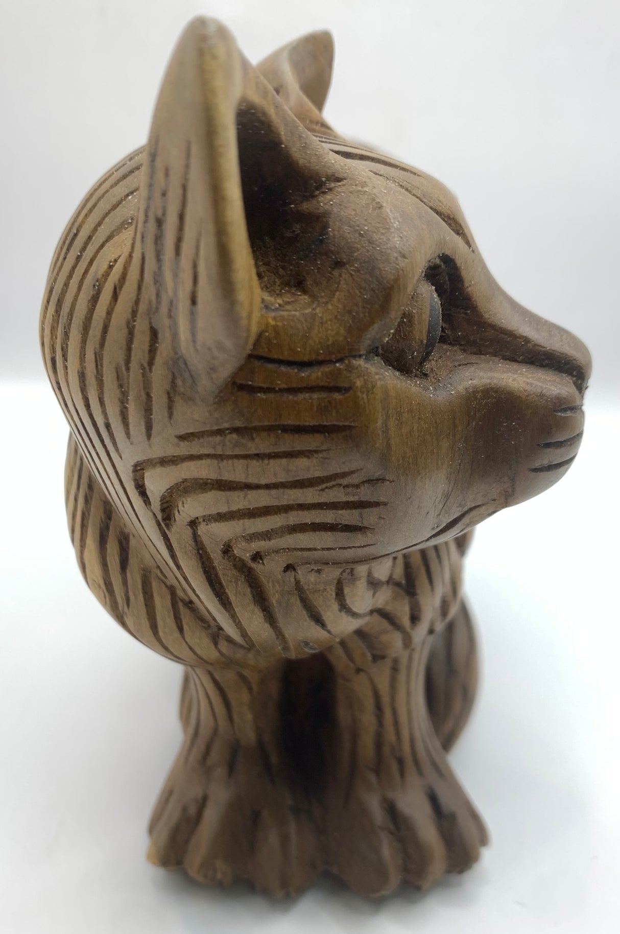 Head Side Turned Cats